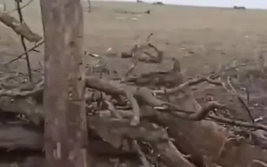 Occupier on Russia’s "meat" assaults: "They wiped out three battalions. There were Koreans here too, and we can’t advance. Now they’re pushing us on.". VIDEO