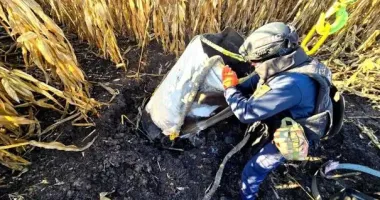 На Черниговщине в поле нашли часть российской ракеты "Искандер"