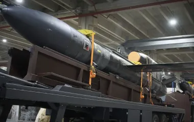 Перші "Фламінго" запускали по росіянах ще у березні 2025 року, - речник ЗСУ