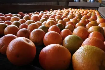 Защита организма в холод: что нужно есть