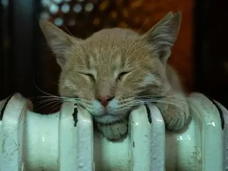 Як зробити батареї теплішими взимку: трюк, який змушує радіатори сильніше гріти навіть за -25