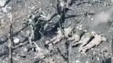 У Покровському районі окупанти розстріляли 5 полонених українських бійців