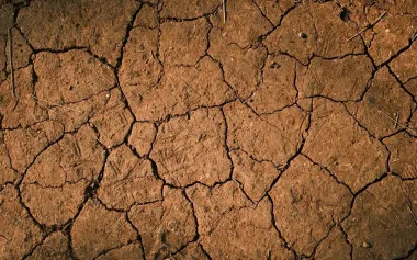 Исследователи заметили гигантские трещины в земле у Конго — чем это чревато