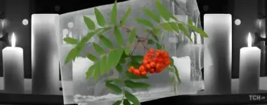 Кельтский гороскоп деревьев на 23 ноября 2025 года: Близнецам — легкость, Козорогам — собранность