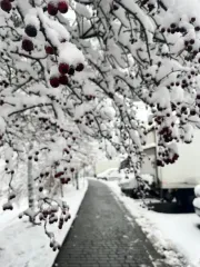 Негода вдарила по одному з регіонів України: стихія знеструмила сотні населених пунктів