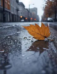 Синоптикиня розповіла, у яких регіонах України дощитиме 24 листопада