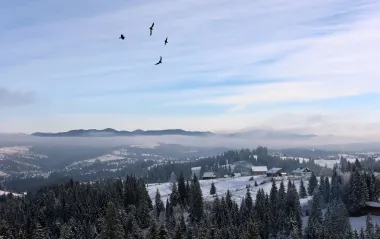 Температура у Карпатах "впала" до -12: синоптики пояснили, чому погода сьогодні - небезпечна