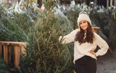 Сколько будут стоить елки в Киеве: в КГГА назвали цены 2025 года