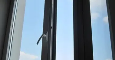 В Киеве 11-летний мальчик выбросил кота из окна: животное погибло