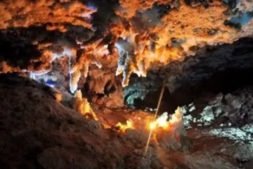 В подводной пещере нашли вымерших существ ледникового периода: как выглядят