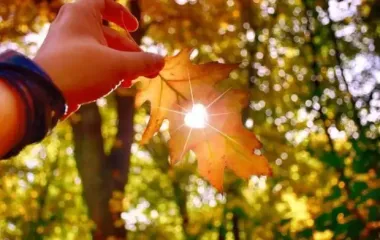 Перед чем нельзя есть 25 ноября и зачем идти в церковь сегодня: приметы и запреты на Клима Холодного