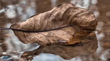 До +19° на юге и дожди в ряде областей – погода на ближайшие дни