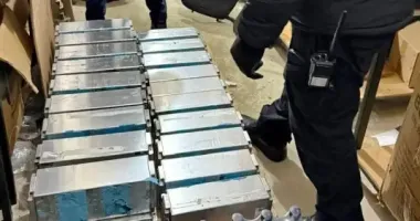 В Черновицкой области на границе с Румынией пограничники обнаружили микроавтобус с необычной контрабандой