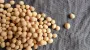Strong demand for Ukrainian soybeans on foreign and domestic markets drives price growth – analysts