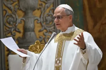 Папа Лев XIV утвердил документ о браке: что говорит Ватикан о сексе