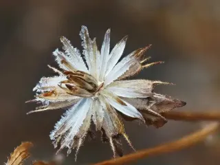 День ангела 26 ноября: кого и как поздравлять с именинами