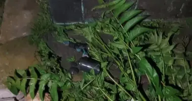 В Одесской области будут судить 18-летнего парня, который пытался поджечь дом знакомой