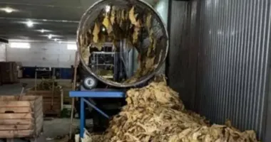 На Буковине разоблачили подпольное табачное производство: руководителю агропредприятия сообщили о подозрении