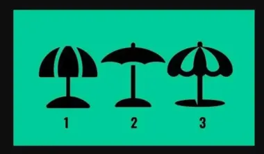 Выберите зонтик, он расскажет о вашем самом большом недостатке: тест по картинке