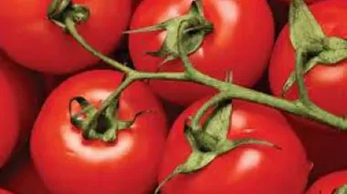 Ukraine increases imports of tomatoes by 4.3%, cucumbers by 13.6% in 10M
