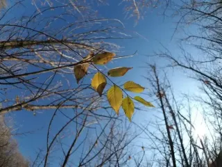 День ангела 27 листопада: кого та як вітати з іменинами