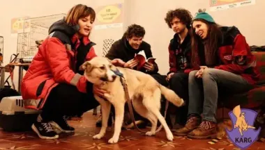 Собака тремтить від сирен і вибухів: що робити господарю, щоб її заспокоїти