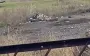 Russian artilleryman complains about Ukrainian UAV: "F#cking scum. Commander was hit. 20 minutes ago. Kamikaze drone struck". VIDEO