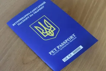 Паспорт можна не брати: які документи підтверджують особу