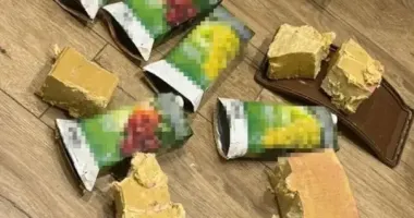 Готовили схроны со взрывчаткой для терактов на западе Украины: СБУ задержала школьницу и двух юношей