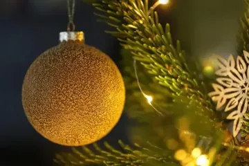 Как выбрать идеальную живую елку к Новому году: простые советы для безупречного праздничного настроения