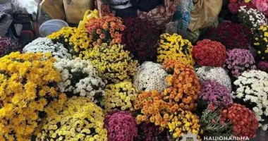 На Нікопольщині зловмисники викрали горщики з квітами із могил полеглих Героїв України