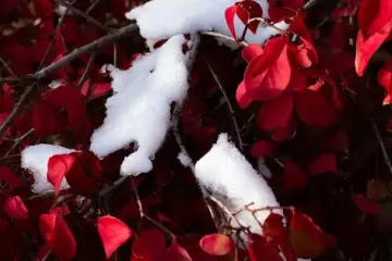 День ангела 29 листопада: кого та як вітати з іменинами