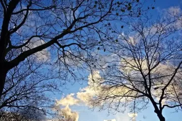 Какой будет погода в последние дни осени: прогноз на 29-30 ноября