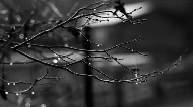 Останній день листопада буде з туманом, а грудень прийде з дощами