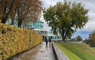 До +12, місцями невеликі дощі: якою буде погода в Україні 30 листопада