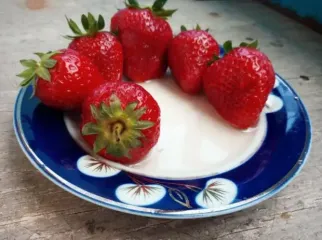 Чому сметана може стати вашою секретною зброєю для здорової печінки: не тільки гарна для борщу та вареників