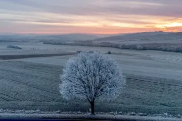 Выберите фото и узнайте, что действительно дарит вам внутреннее спокойствие — тест