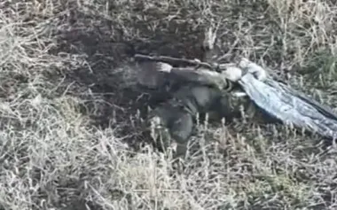 Wounded occupier takes his own life on battlefield. VIDEO