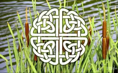 Кельтский гороскоп деревьев на декабрь 2025 года: месяц ясности, внутреннего фокуса и подведение итогов