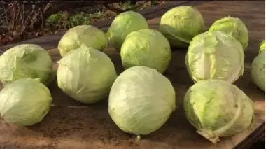 Какие овощи и фрукты украинцы покупают больше всего