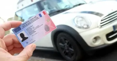 Зеленський у Франції домовився про визнання українських водійських посвідчень