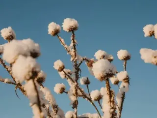 День ангела 2 декабря: кого и как поздравлять с именинами