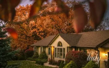 Мужчина обнаружил у себя в подвале "гиганта", которого не смог выпроводить: что известно