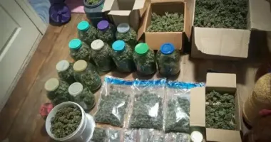 У Сумах поліція затримала наркоділка та вилучила понад 5 кг канабісу