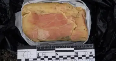 В Киевской области задержали мужчину, который сбывал пластическую взрывчатку