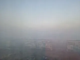 Дым и смог за окном: как уменьшить вред здоровью