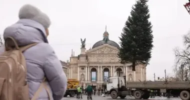 Во Львове установили новогоднюю елку: праздничное открытие уже в эту пятницу - видео