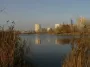Столичные озера тихо умирают: КП «Плесо» разрушает водную систему Киева