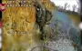 Ruscist props his head against trench wall and awaits strike: 46th Brigade drones eliminates him. VIDEO
