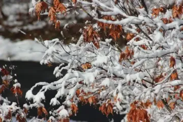 Тест-малюнок розкриє ваш поточний життєвий пріоритет